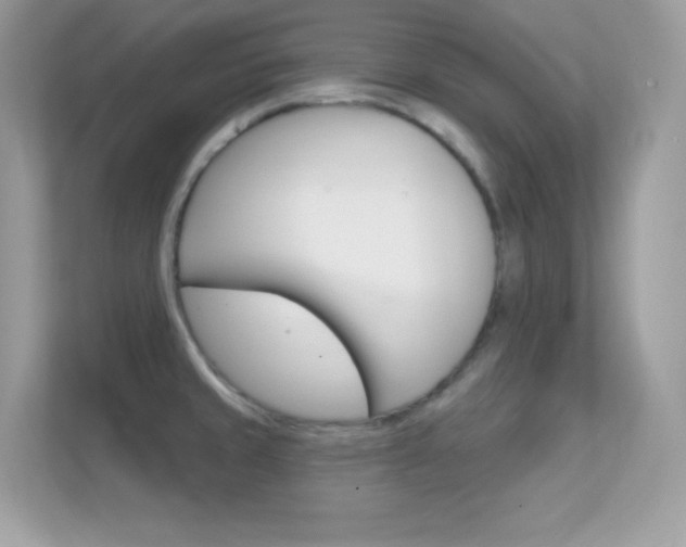 X0000112421429200908141036