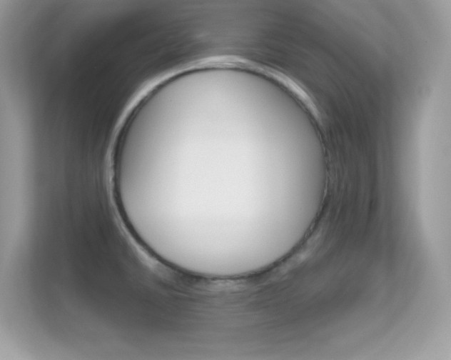 X0000112421430200908141036