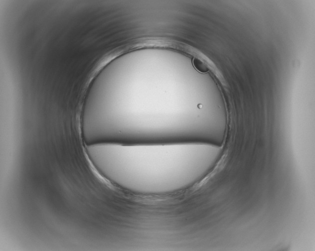 X0000112421433200908141036