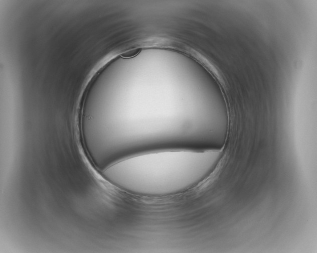 X0000112421434200908141037