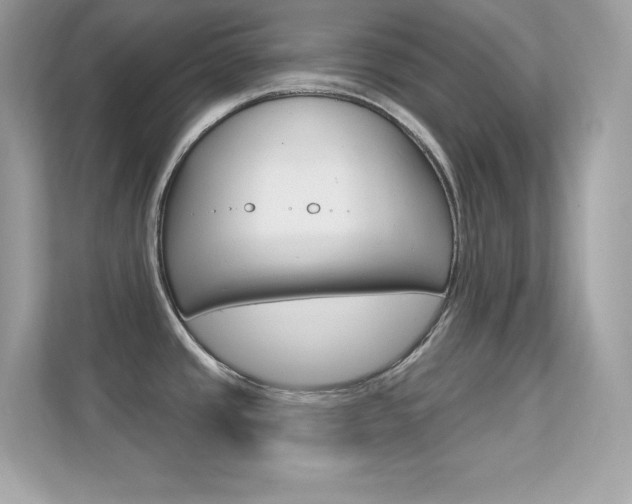 X0000112421437200908141037