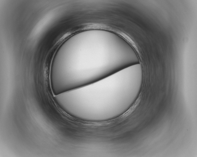 X0000112421438200908141037