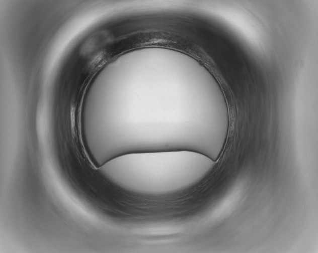 X0000112421439200908141037