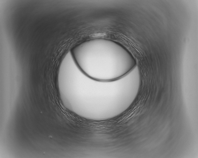 X0000112421441200908141036