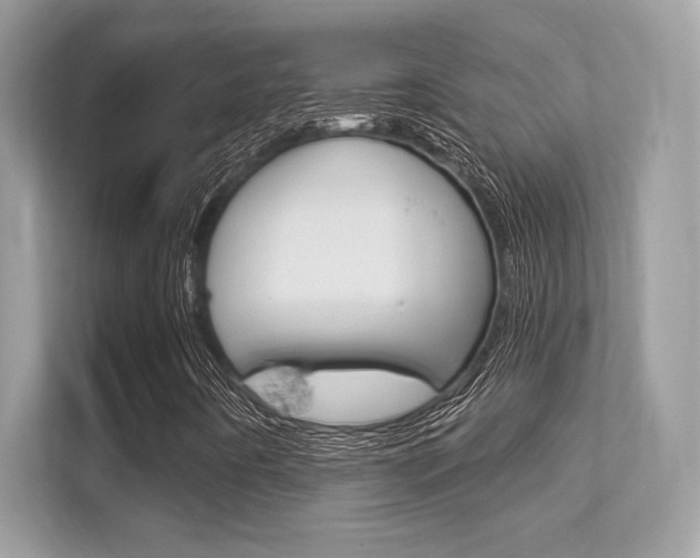 X0000112421442200908141036