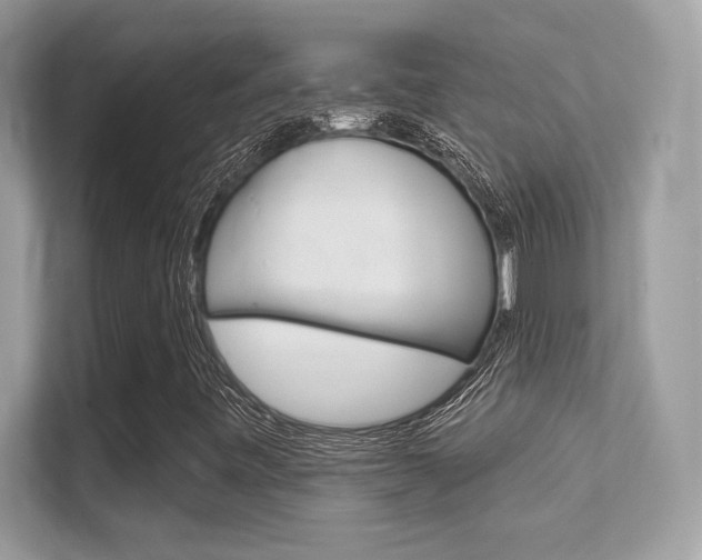 X0000112421443200908141036