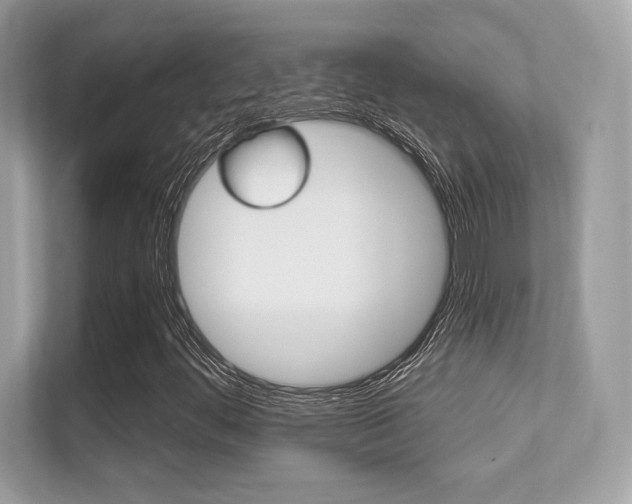 X0000112421444200908141036