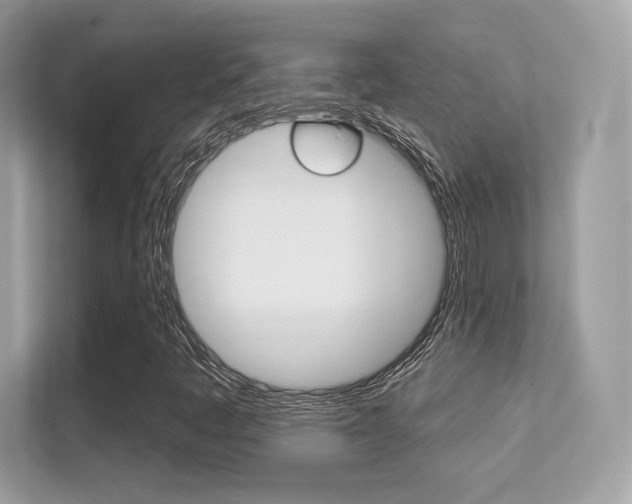 X0000112421445200908141036