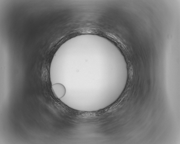 X0000112421446200908141036