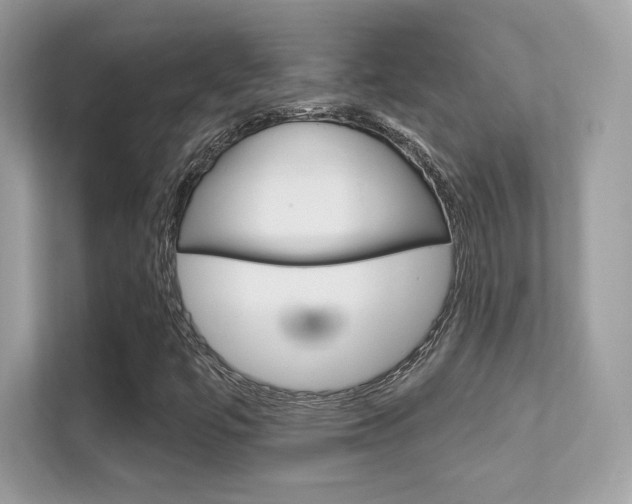 X0000112421447200908141036