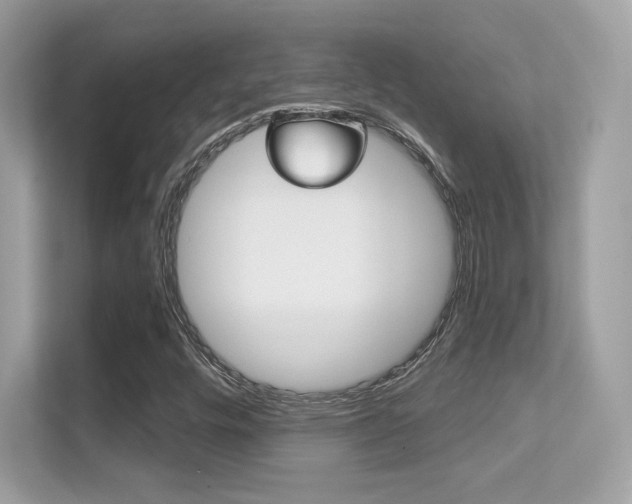 X0000112421448200908141036
