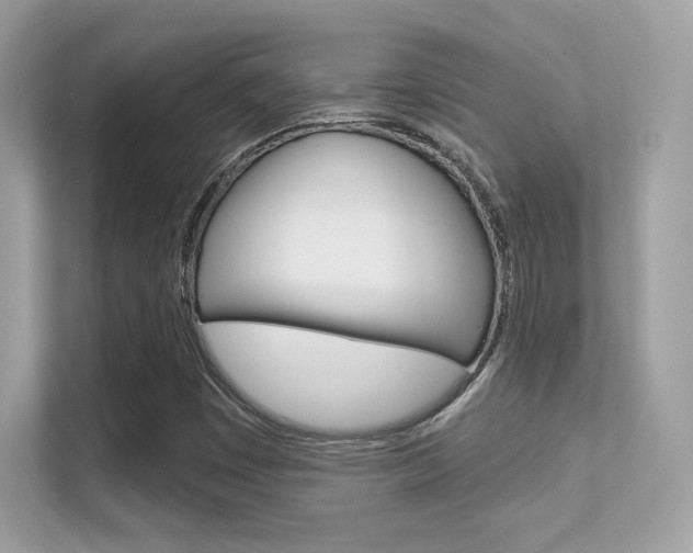 X0000112421449200908141036