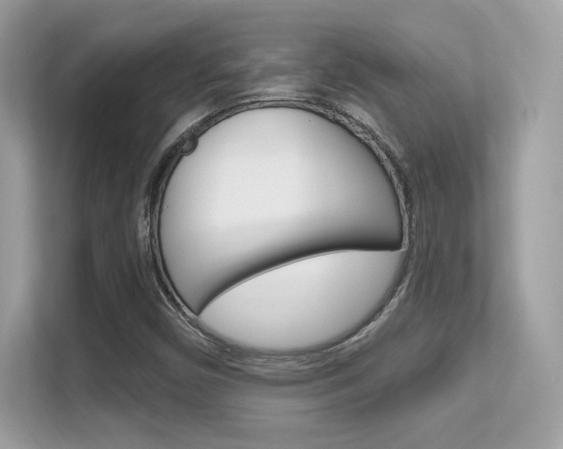 X0000112421450200908141036