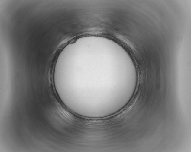 X0000112421451200908141036