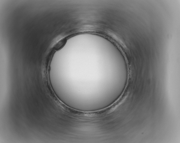 X0000112421453200908141036