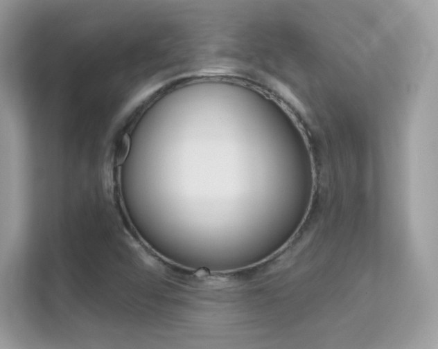 X0000112421456200908141036