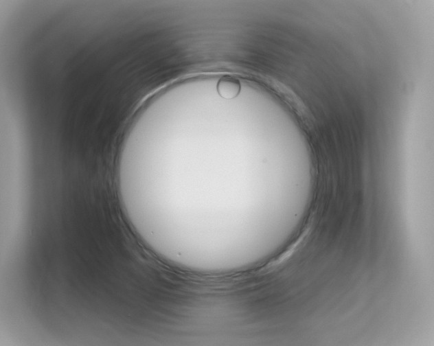 X0000112421457200908141036