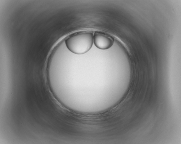 X0000112421460200908141036