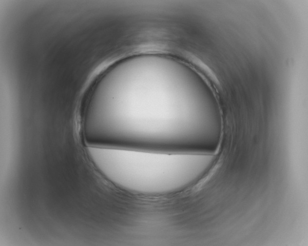 X0000112421461200908141036