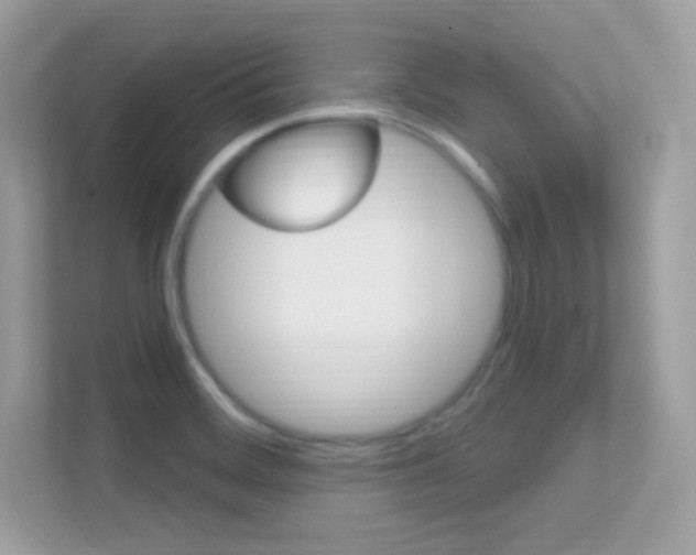 X0000112421468200908141036