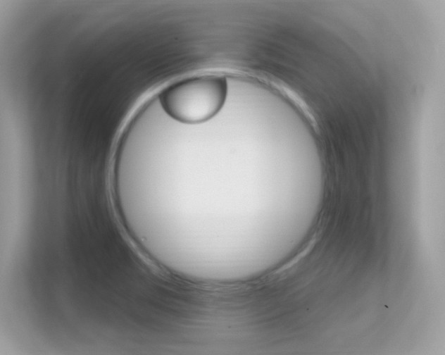 X0000112421469200908141036