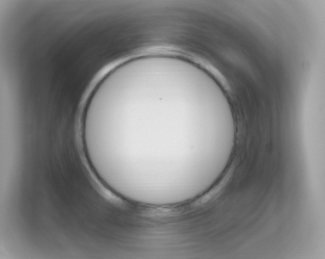 X0000112421470200908141036