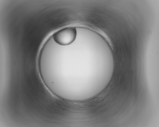 X0000112421472200908141036