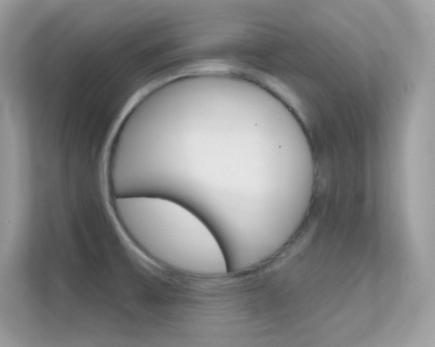 X0000112421475200908141036