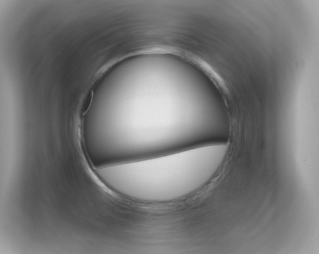 X0000112421476200908141036