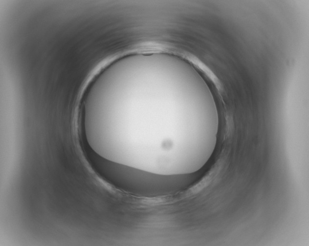 X0000112421477200908141035