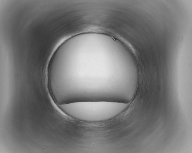 X0000112421479200908141035