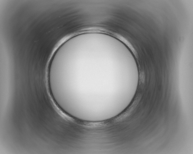 X0000112421482200908141035