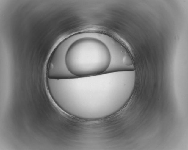 X0000112421483200908141035