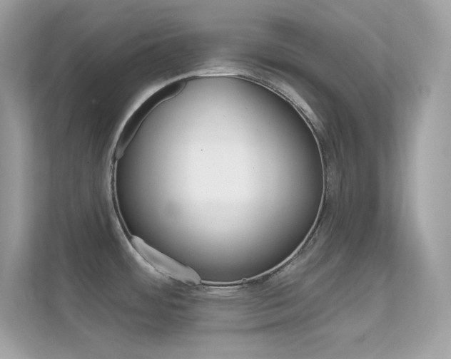 X0000112421484200908141035