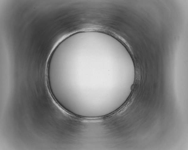 X0000112421487200908141035