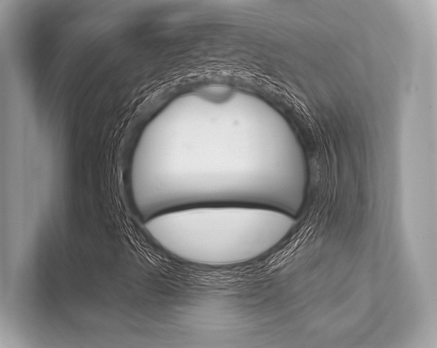 X0000112421489200908141035