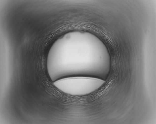 X0000112421490200908141035