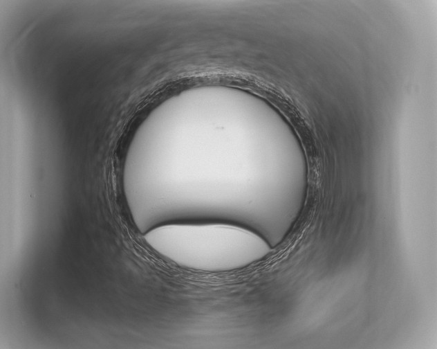 X0000112421493200908141035