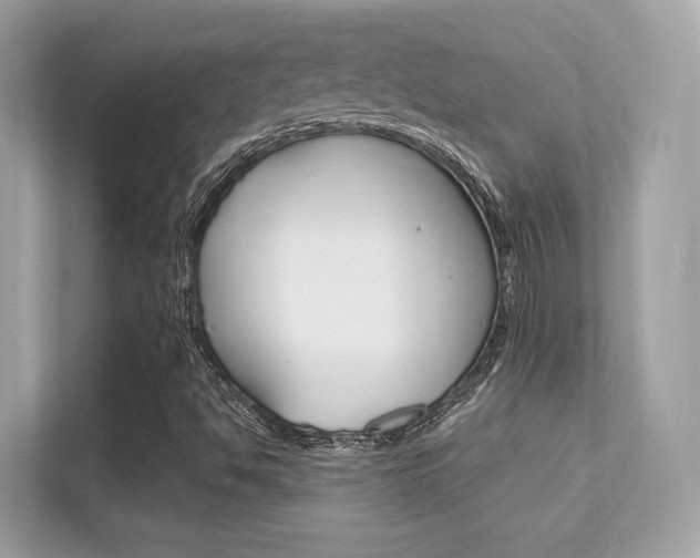 X0000112421494200908141035