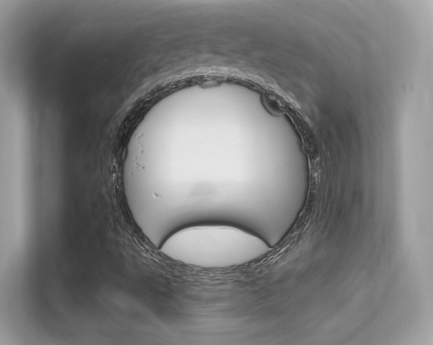 X0000112421495200908141035