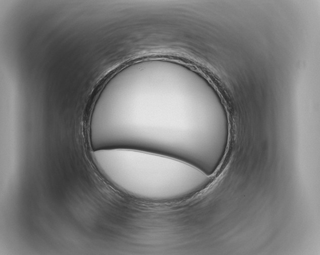 X0000112421497200908141035
