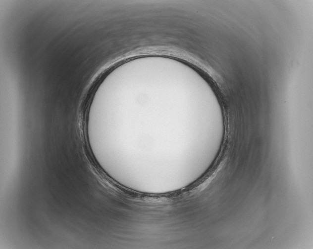 X0000112421498200908141035