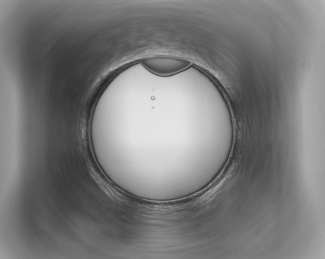 X0000112421499200908141035