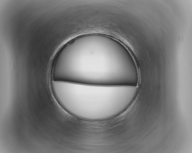 X0000112421500200908141035