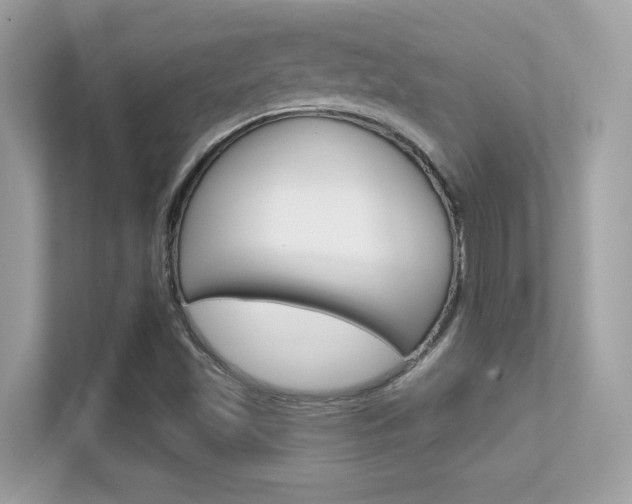 X0000112421501200908141035