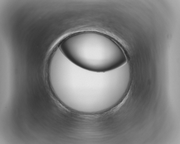 X0000112421502200908141035