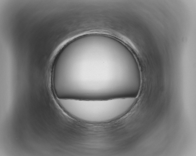 X0000112421504200908141035