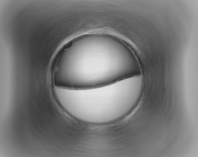 X0000112421506200908141035