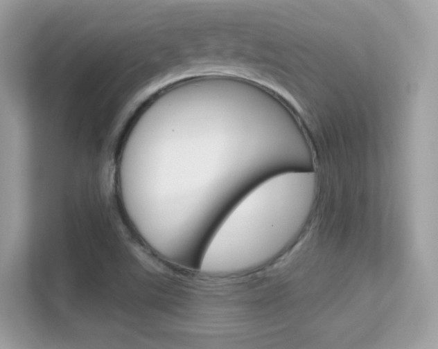 X0000112421507200908141035