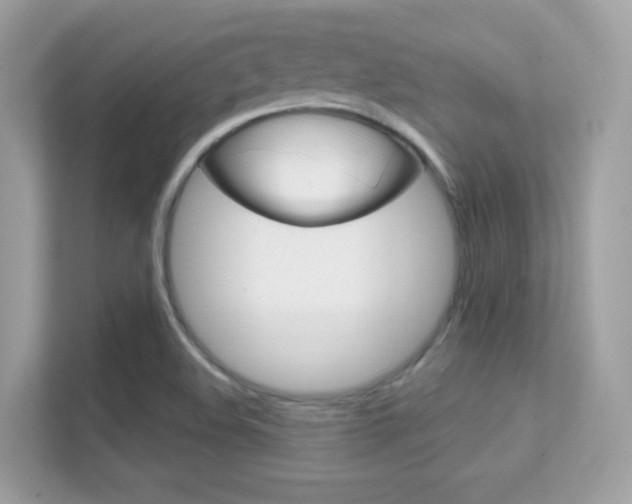 X0000112421508200908141035